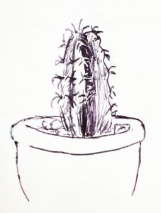 Kimler Corey Cactus Drawing